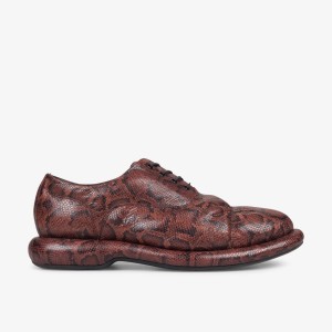 Clarks Martine Rose Mens Oxford 1 Brown Snake Brown Snake | QN3127469