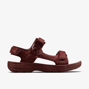 Clarks Martine Rose Mens Sandal 2 Oxblood Textile Burgundy | JA8012659